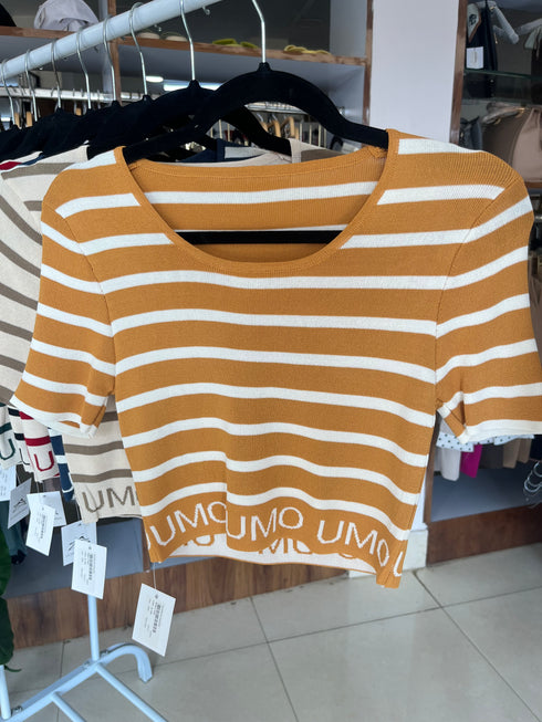 Strips Crop Tops